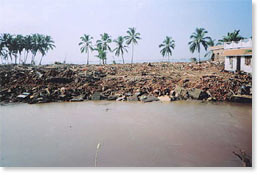 Impact of the tsunami on coastal areas of Tamil Nadu