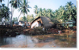 Impact of the tsunami on coastal areas of Tamil Nadu