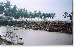 Impact of the tsunami on coastal areas of Tamil Nadu