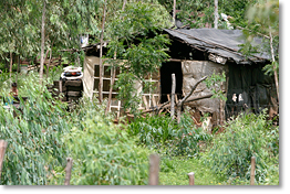 Un hogar en el Barrio Emanuel donde hay cuatro cooperativas con 900 families, approximadamente 5,000 personas. Las cooperativas han establecida en 2000-2001.