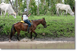 Un vaquero.
