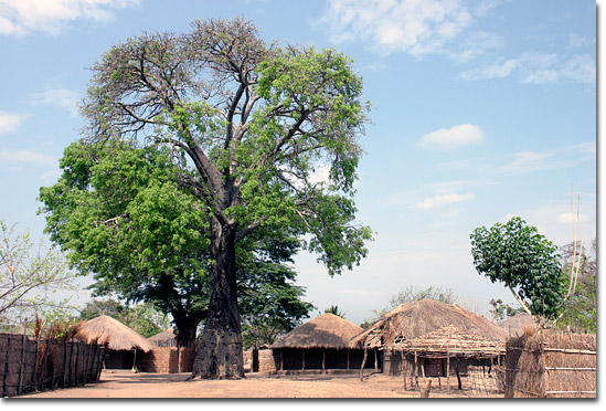 The community of Meponda on the shores of Lake Niassa in northern Mozambique. Photo by Nic Paget-Clarke.