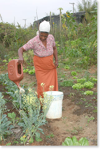 Watering the community garden. Photo by Nic Paget-Clarke.