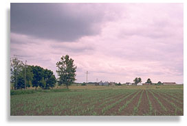 Farmland near Chillicothe, Missouri. Photo by Nic Paget-Clarke.