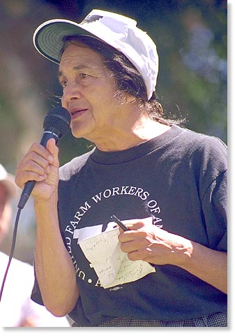 Dolores Huerta in San Diego. By Nic Paget-Clarke