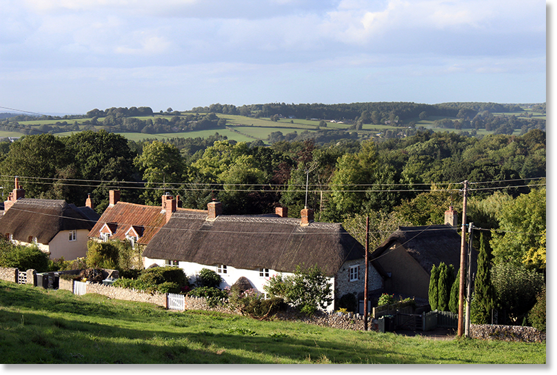 Homes in rural west Dorset.