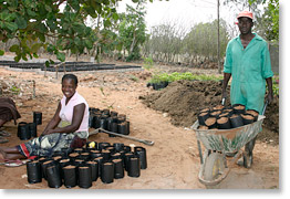 Two cooperative members working with tree saplings at the headquarters of UCAM (Union of Agricultural Cooperatives of Marracuene). After the conference, many delegates visited farmers cooperatives in Marracuene, near Maputo, the capital of Mozambique.
