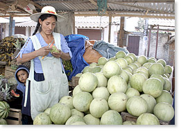 Vendiendo melones en el departamento Santa Cruz .