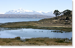 On Kala Uta island in Lake Titicaca looking towards the Cordillera Real range of the Andes, Bolivia.