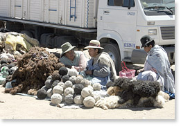 Vendiendo la lana de alpacas y llamas en formas diferentes en el mercado.