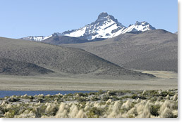 On the Altiplano, among the Andes Mounatins, Mount Sajama National Park, Oruro department, near the border with Chile.