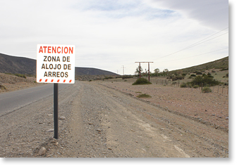 Road sign indicates that this road is beside an humancia herding trail. Photo by Nic Paget-Clarke.