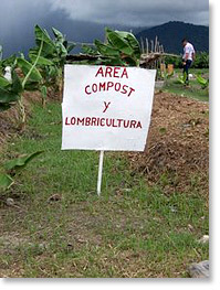 Composting and vermiculture (worm composting) area at the Aracal Cooperative.