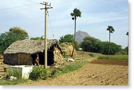 Small far in western Tamil Nadu, India.