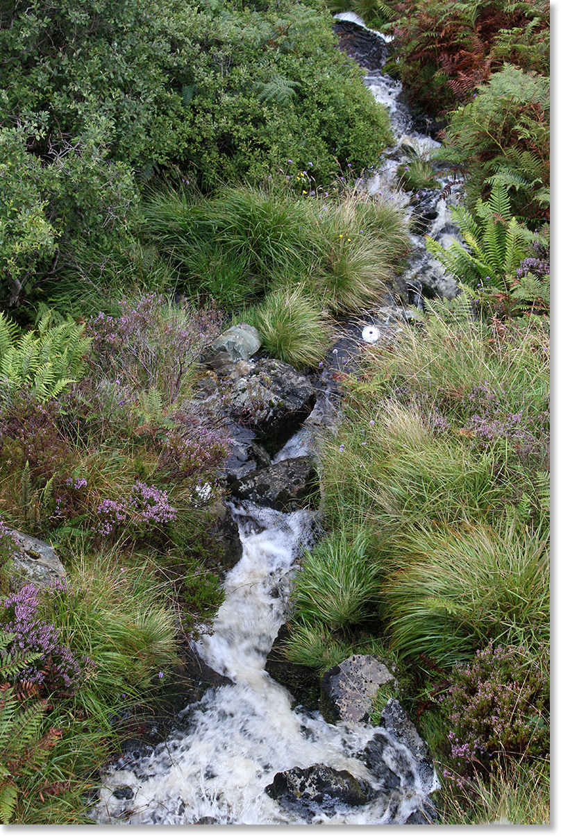 A stream runs downhill through mounds of grass, bracken, and heather on the Isle of Skye.