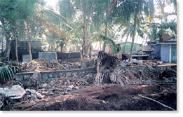 Impact of the tsunami on coastal areas of Tamil Nadu