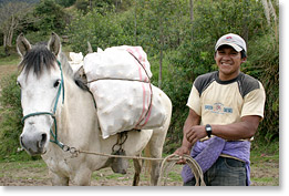 Un miembro de la comunidad de Shagalpud en los Andes, transportando maíz por caballo.