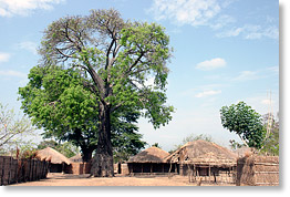 The community of Meponda on the shores of Lake Niassa.