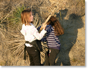 Members of the Viejas Reservation (of the Kumeyaay nation) Science Explorers Club wrestle with a yucca plant.  ￼