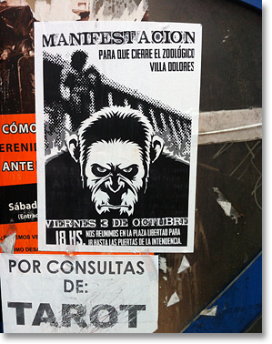 Fliers, downtown Montevideo, Uruguay. Photo by Nic Paget-Clarke.