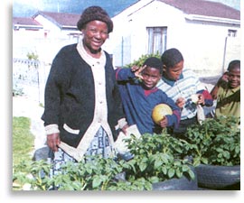 Christina Sogiba uses tyre-stacks to grow potatoes.
