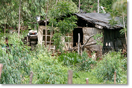  A home in Barrio Emanuel where there are four cooperatives with a total of 900 families, approximately 5,000 people. They were established in the year 2000.￼