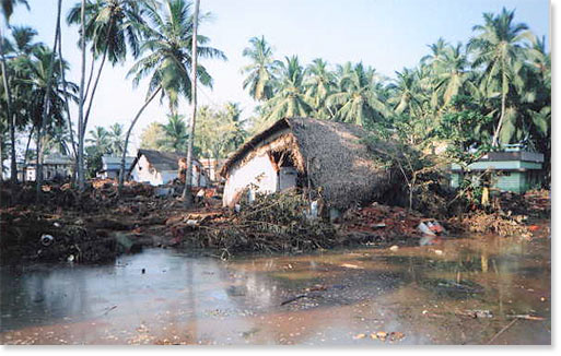 The impact of the tsunami on coastal areas of Tamil Nadu, India.