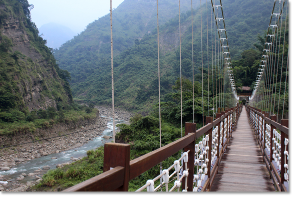 Bridge on the Tanayiku River in the mountains of the Alishan National Forest in central Taiwan, within the Tanayiku Natural Ecology Park. The Park was created by, and is owned and operated by, the local community of the Tsou Indigenous people. Photo by Nic Paget-Clarke.