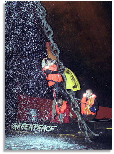 Greenpeace activist Athena Lambinidou attaches herself to the anchor chain of the freighter Federal Pescadores in the Hauraki Gulf, outside of Auckland, New Zealand. December 22, 2000. Greenpeace Aotearoa New Zealand was protesting the importation of genetically modified soy into New Zealand. Copyright fotopress. 