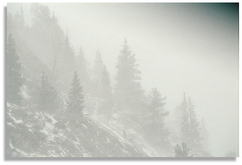 The side of mountain during a blizzard in the Rockies, Colorado. Photo by Nic Paget-Clarke.