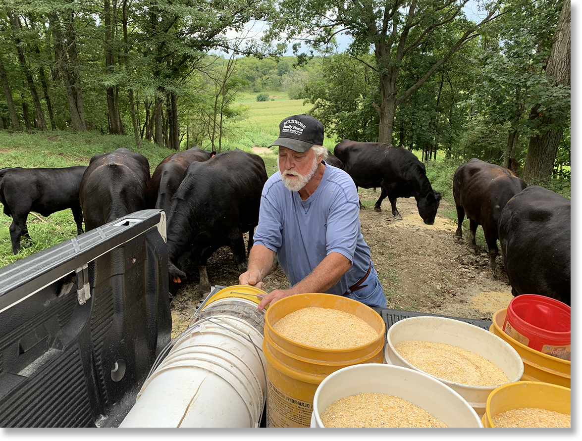 Roger Allison, farmer and executive director of Missouri Rural Crisis Center, feeds cattle on the Allison/Perry farm in Howard county. Photo by Nic Paget-Clarke.