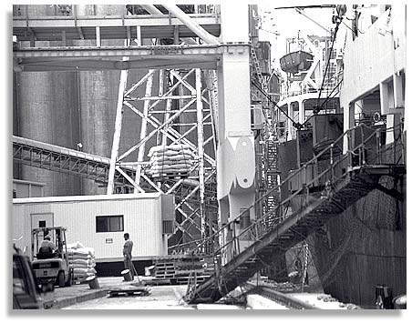 Grain being loaded for shipment overseas. Port of Galveston, Texas. Photo by Nic Paget-Clarke.