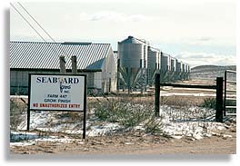 Seaboard hog factory. Near Wray, eastern Colorado.