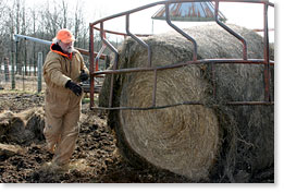 Roger Allison setting up hay for cattle on the Allison/Perry farm.
