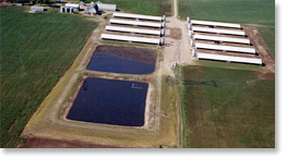 A factory farm - cover photo of the report "Industrial Livestock at the Taxpayer Trough".