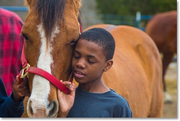 Getting to know a horse.The Missouri Rural Crisis Center hosts the “Family Farm Livestock” Farm Camp. Photo courtesy Missouri Rural Crisis Center.